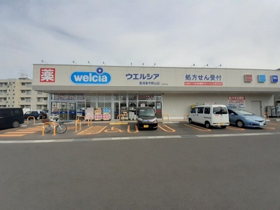 【周辺】 | カメリアコートＤ | ウェルシア新潟東中野山まで250m