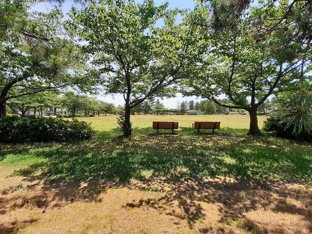 【周辺】 | エアーウエスト | 牛海道中央公園まで250m