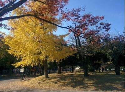【周辺】 | クラシアム神奈川台場