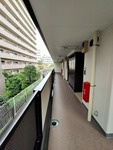 【その他】 | カームリ―フォレスト