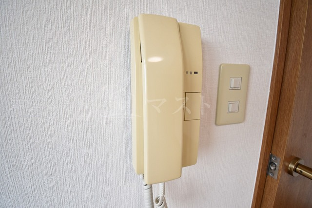ディナスティ清水谷Ⅱのセキュリティ|他号室参考写真