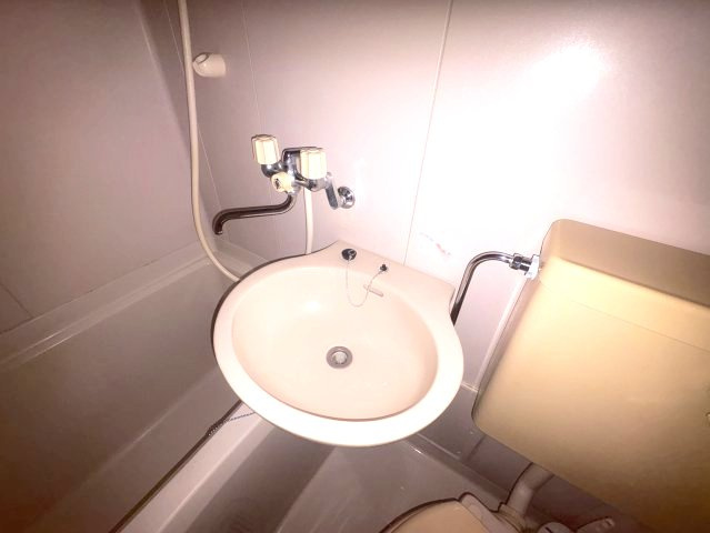 ロイヤルコート江坂の洗面所