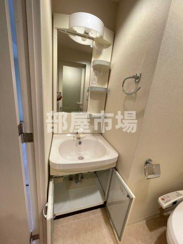 ドルチェ東京押上ツインズ弐番館の洗面所