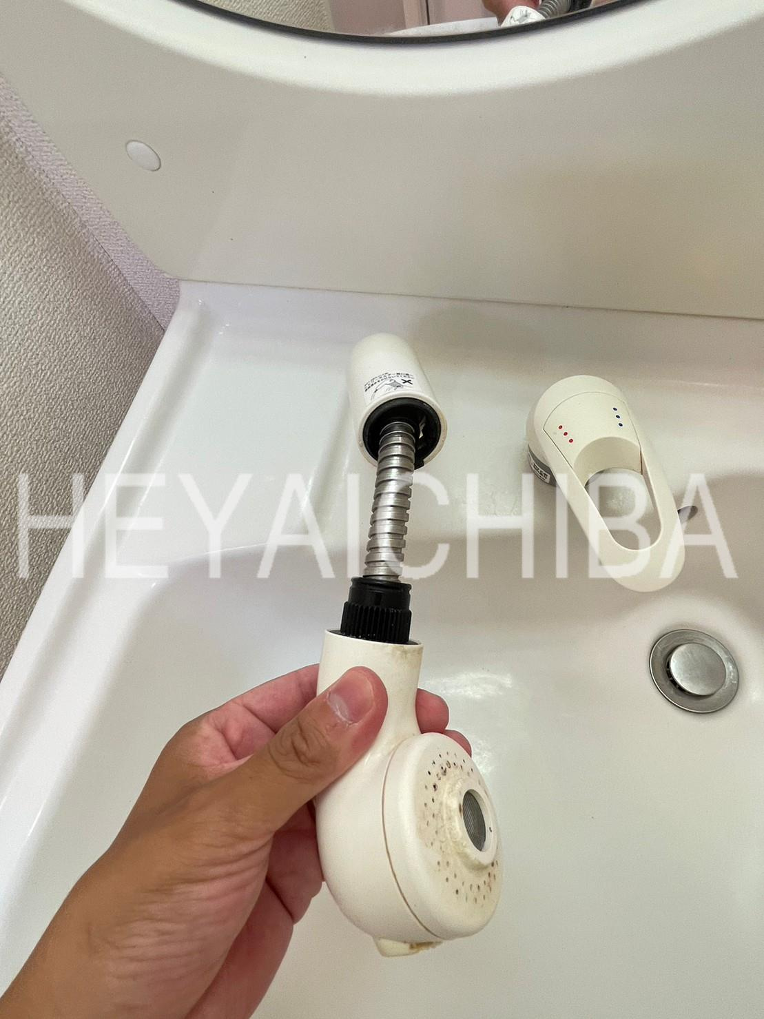 アルテールA棟の洗面所|シャワー付き洗面台