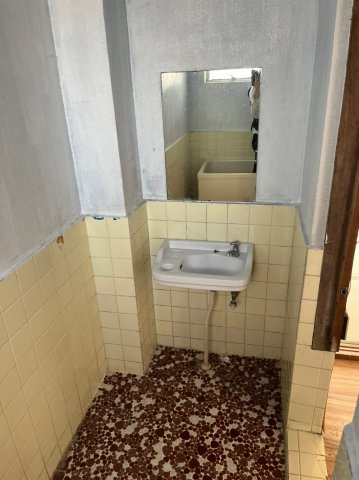 ハシムコウのその他