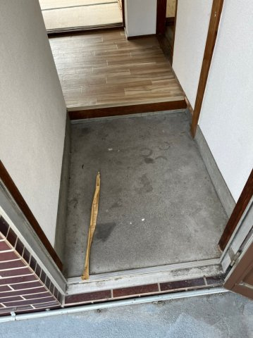 ハシムコウの玄関
