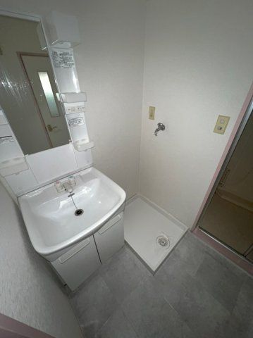丸矢マンションの洗面所