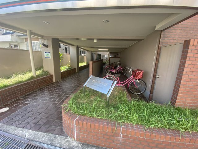 藤井寺市恵美坂１丁目の賃貸マンションのエントランス