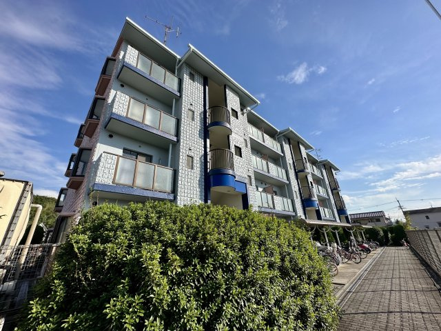 柏原市円明町の賃貸マンションの外観