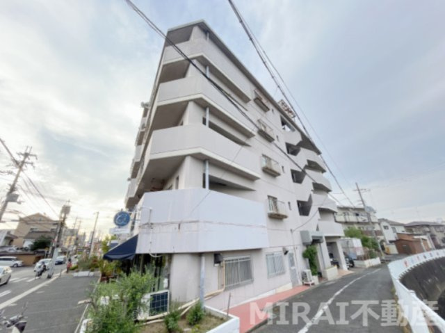 柏原市法善寺４丁目の賃貸マンションの外観
