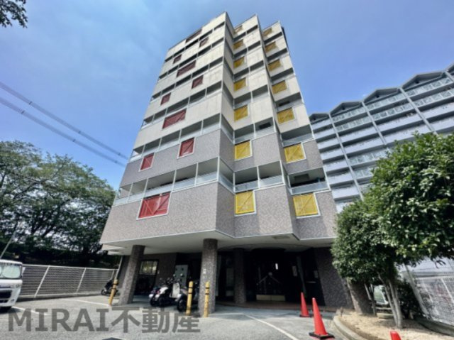 柏原市石川町の賃貸マンションの外観