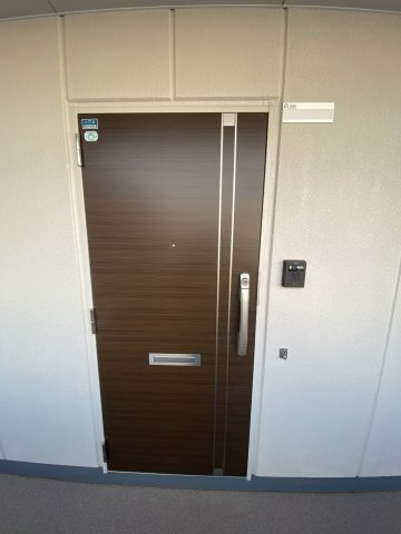 松原市阿保２丁目の賃貸マンションのエントランス