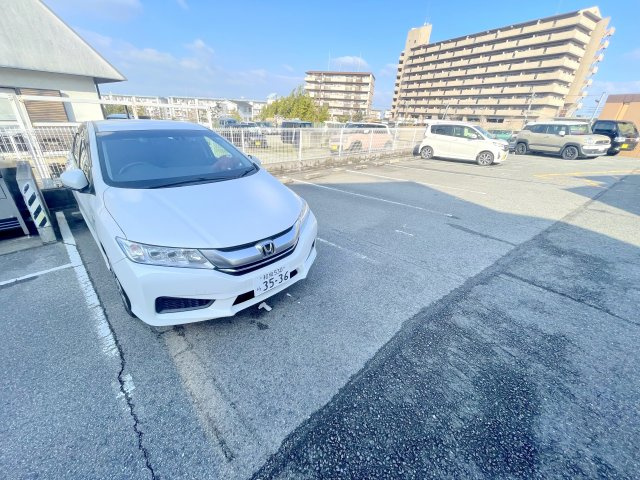 富田林市寺池台１丁目の賃貸マンションの駐車場