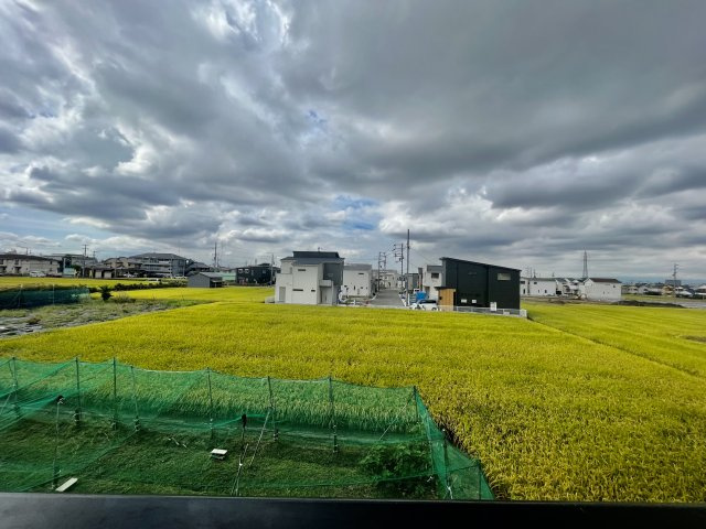 羽曳野市伊賀１丁目のアパートの展望