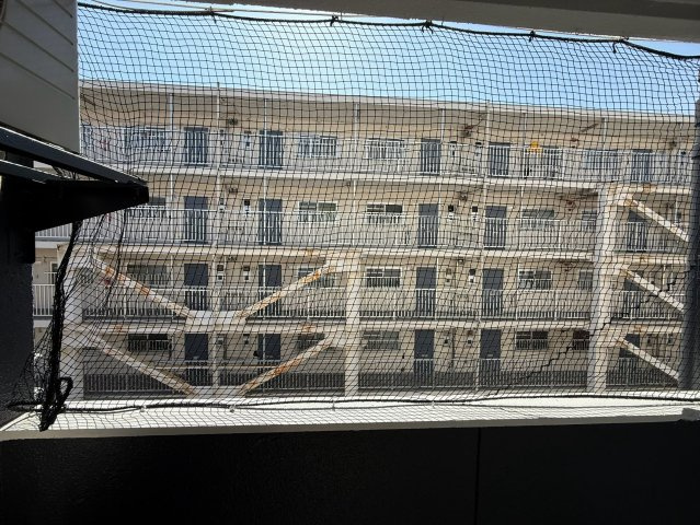 松原市天美北３丁目の賃貸マンションの展望