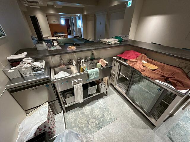 ＴＨＥ　Ｖ－ＣＩＴＹ麻布十番ＣＥＮＴＲＥのその他共用部分