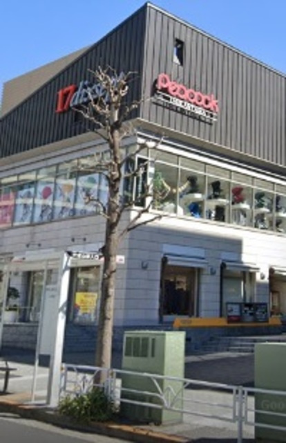 ＰＡＳＳＹのその他|ピーコックストア代官山店