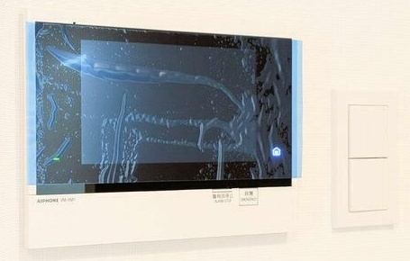 ドゥーエ両国Ⅳのその他