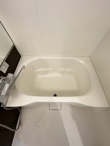 ライオンズマンション日本橋の浴室