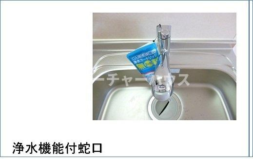 ソリヤードのその他