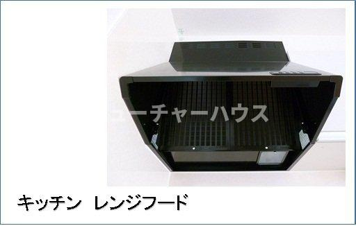 ソリヤードのその他