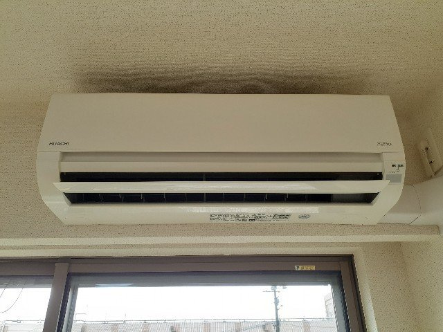 ラッフィナートのその他