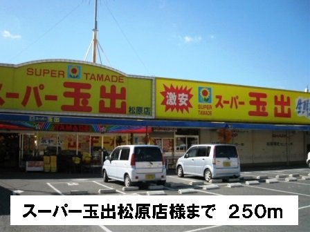 メゾン　アンディスの周辺|スーパー玉出松原店様まで250m