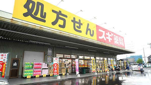 レオパレスメープルの周辺