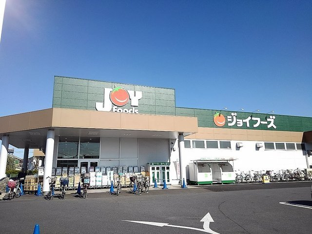 リーベ　レーベンの周辺|ジョイフーズ越谷大袋店まで600m