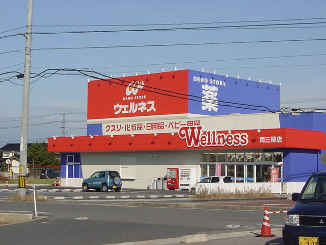 エヴァーグリーン西福原の周辺|ドラッグストアウェルネス両三柳店まで674ｍ