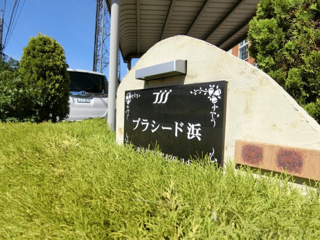 プラシード浜の周辺