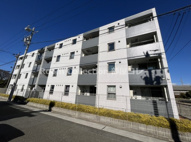 しらさぎの画像