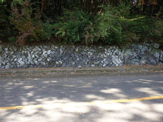 エンゼルフォレスト伊豆赤沢④温泉権利付き