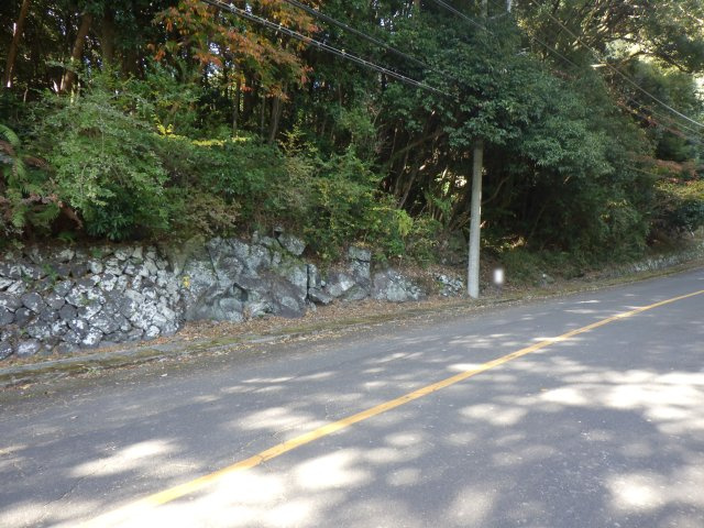 エンゼルフォレスト伊豆赤沢④温泉権利付きの前面道路含む現地写真