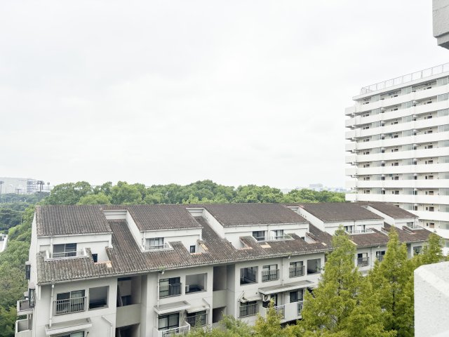 の-の画像