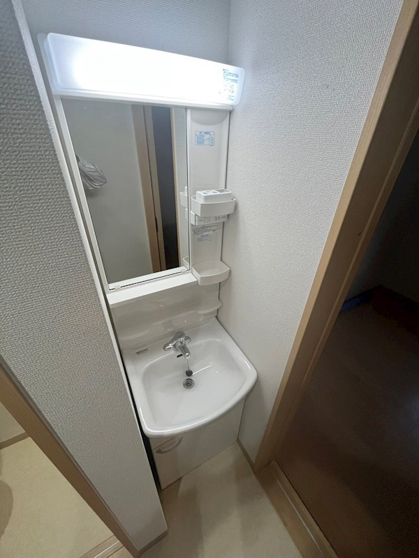 シャルマンメゾン上沢の洗面所