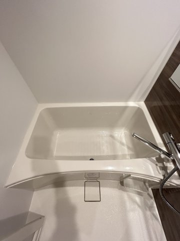 ブエナビスタ難波タワーの浴室