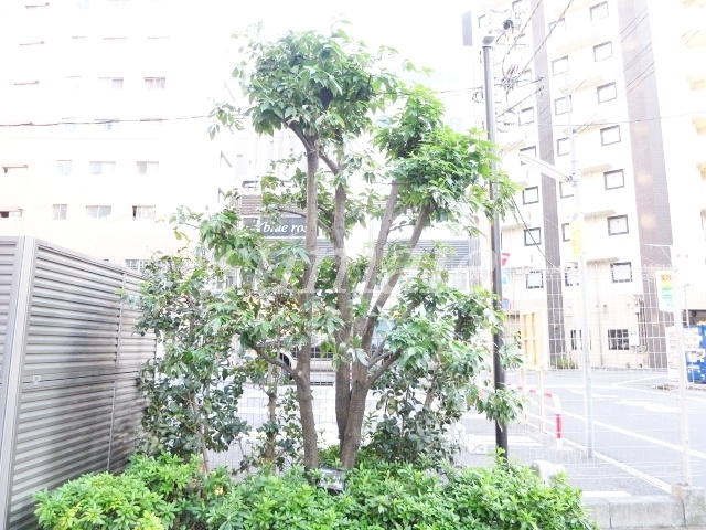 クリオ赤羽壱番館のその他|植栽です♪
