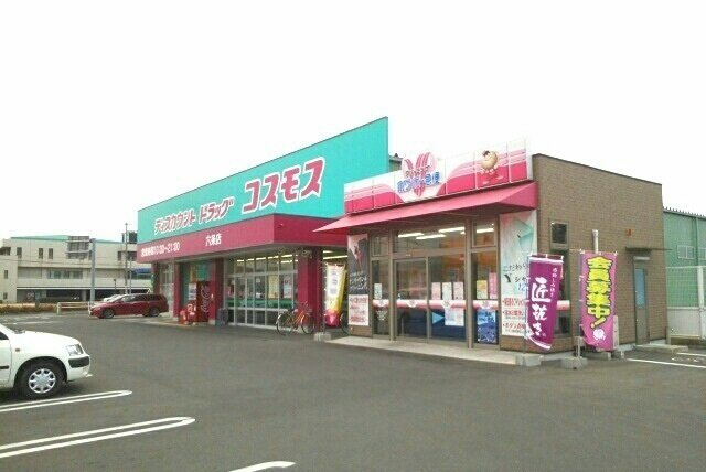 エスポワールＣの周辺|コスモス六条店さんまで1100m