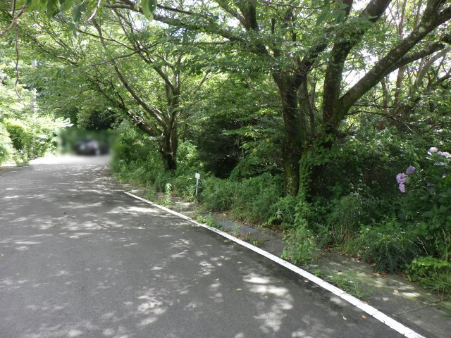 エンゼルフォレスト伊豆富士見高原小松ヶ原④の前面道路含む現地写真