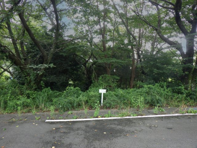 エンゼルフォレスト伊豆富士見高原小松ヶ原④の外観