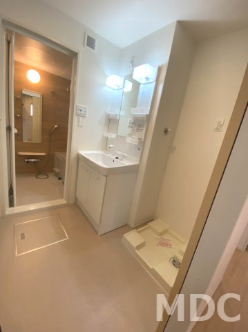 ロータス南島田Bの洗面所