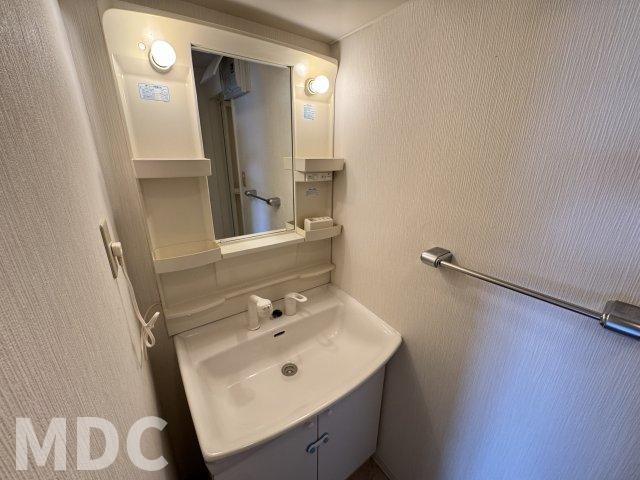 徳島市北沖洲１丁目の賃貸マンションの洗面所