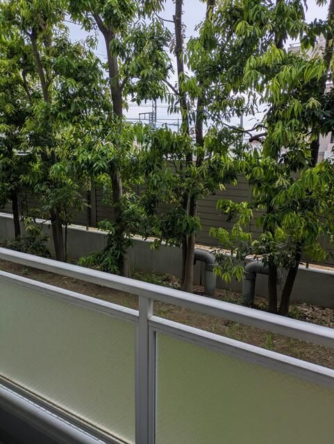 エザンスの展望