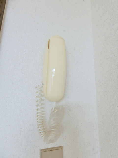 シティハイム　パルメⅡのセキュリティ