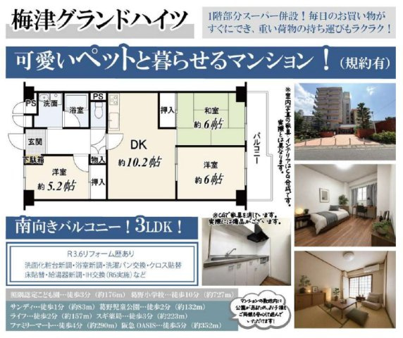 梅津グランドハイツの間取り