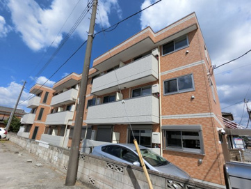 Cadenzaの画像