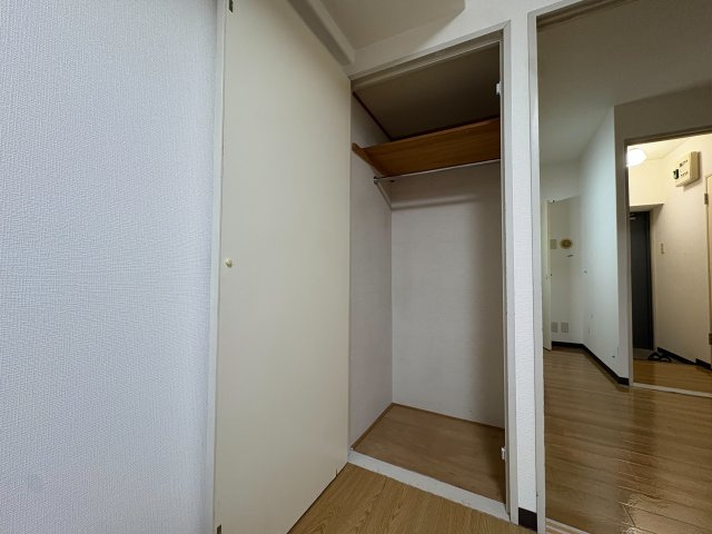 川崎市多摩区菅稲田堤１丁目の賃貸マンションの収納