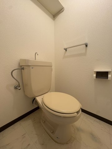 川崎市多摩区菅稲田堤１丁目の賃貸マンションのトイレ
