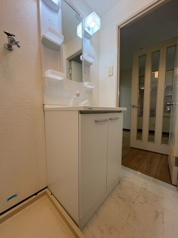 川崎市多摩区菅稲田堤１丁目の賃貸マンションの洗面所